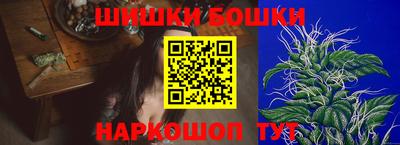 стаф Кингисепп