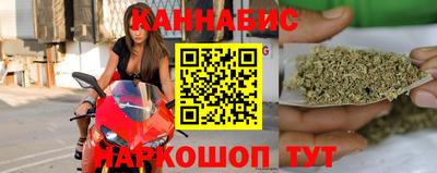 стаф Кингисепп