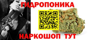 стаф Кингисепп