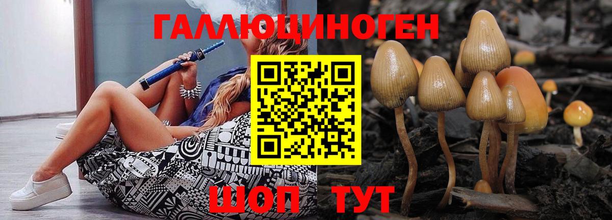 Псилоцибиновые грибы мухоморы Коммунар