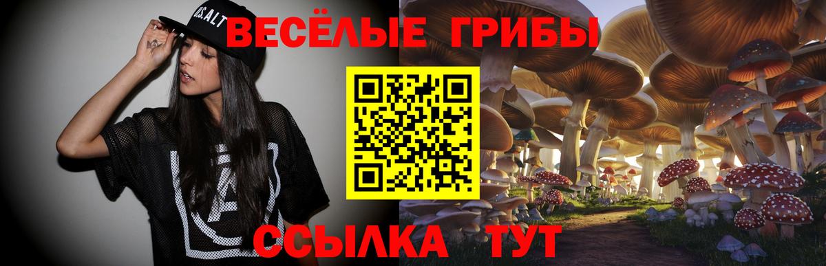 Псилоцибиновые грибы ЛСД  Коммунар  Галлюциногенные грибы Psilocybine cubensis 